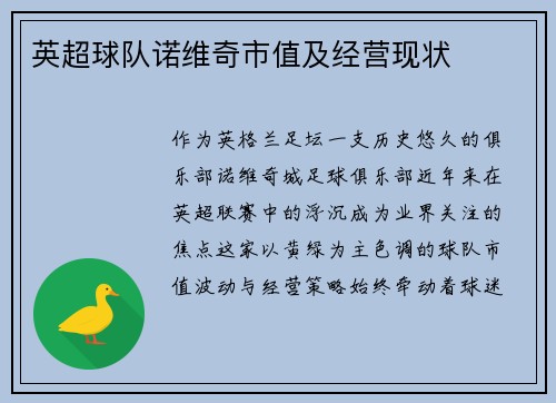 英超球队诺维奇市值及经营现状