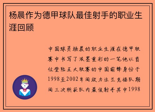 杨晨作为德甲球队最佳射手的职业生涯回顾